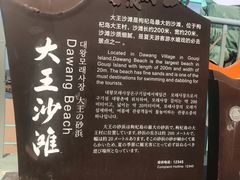-大王村沙滩