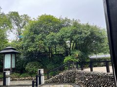 -三江森林温泉度假区