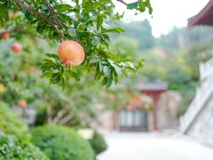 -西安华清御汤酒店