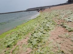 -日照灯塔风景区