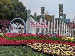 -红梅公园