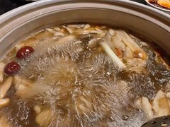 秘制野菌土鸡养生汤-生宇山珍野生菌汤锅•始于1999(双流古塔店)