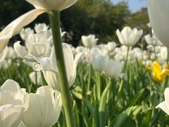 -厦门园林博览苑