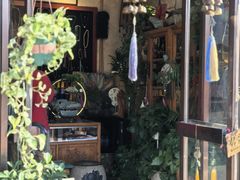 -中环花鸟鱼虫市场