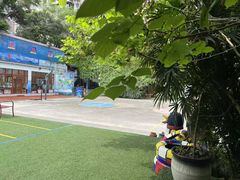-金豆子幼稚园
