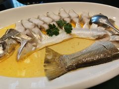 长江白鱼-江仙雅居(中航国际店)