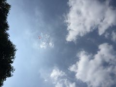 -梁鸿国家湿地公园