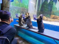 -华夏文旅海洋公园