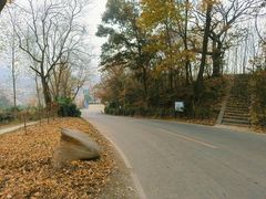 -千年银杏谷文化旅游区