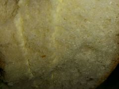 -威利发(幸福店)