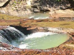 -广州白江湖森林公园