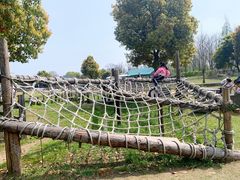 -田园东方蜜桃村的田野营地