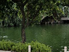 -荔湾湖公园