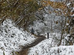 -安吉龙王山风景区