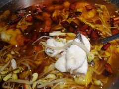 -雲蜀龙阁·金牌水煮鱼(方庄店)