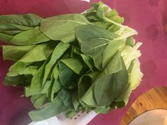 -麻奢鸽农庄·梦里水乡