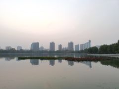 -莲花池公园