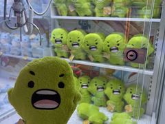 -可爱抓 COCO  GOTCHA(天津鹏欣水游城店)