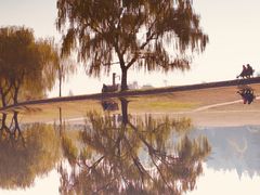 -上海共青森林公园