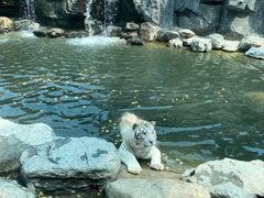 -北京野生动物园