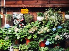 -龙姐私房菜(和顺古镇店)