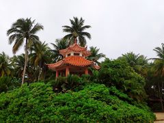 -东郊椰林