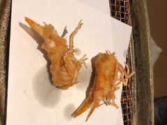 虾头天妇罗-みかわ是山居