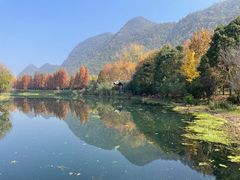 -贵阳市花溪国家城市湿地公园