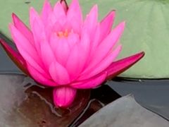 -西湖天地