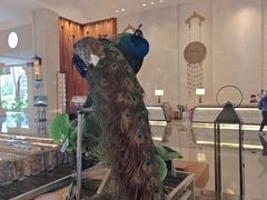 -西双版纳融创皇冠假日度假酒店