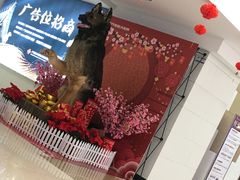 -南宁时代电影大世界(CGS激光中国巨幕)