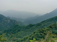 -大岭沟猕猴桃谷风景区