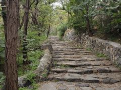 -阳台山自然风景区