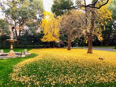 -叶叶菩提·晋福宫