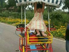 -永定河休闲森林公园