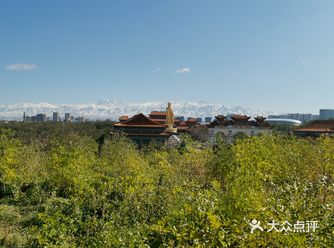 这段时间的红光山， 有着最曼妙的风景