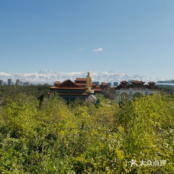 这段时间的红光山， 有着最曼妙的风景