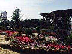 -上海长兴岛郊野公园