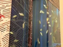 -原鄉本味 楚菜 丹江口鱼(北苑店)