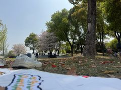 -至艾推拿院·三伏灸(昆城广场店)