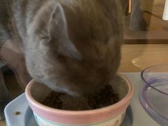 -Me Coffee下午茶艺术空间