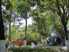 -铁山坪森林公园