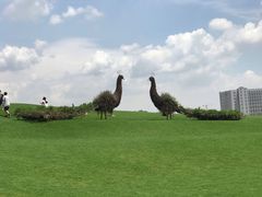 -光明小镇欢乐田园