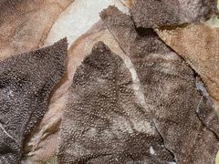 -舒家大院重庆老火锅(纪念塔店)