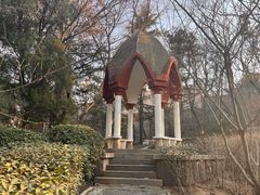 -观象山公园