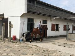 -松声马术俱乐部