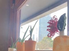 -8PINTS八品脱·日料·烧鸟·精酿小酒馆(莘庄店)