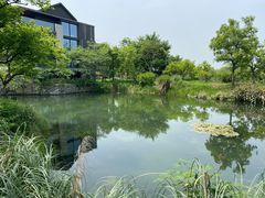 -木守西溪溪隐餐厅
