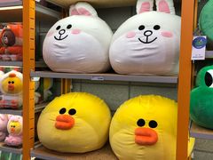 -line friends(明洞旗舰店)