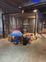 -酷嗒动物文化乐园(cutezoo西溪乐天城店)